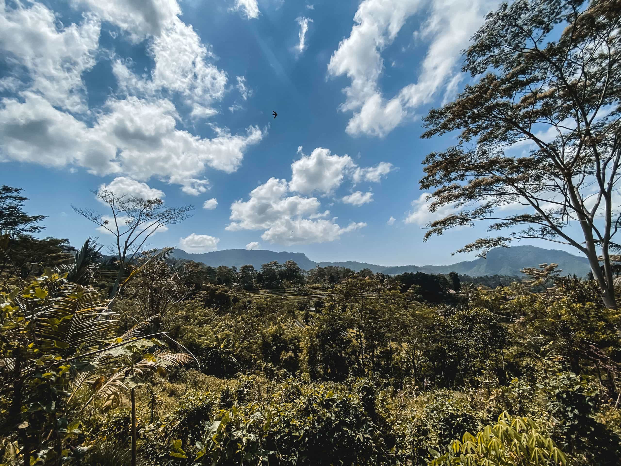 Beautiful inland Bali