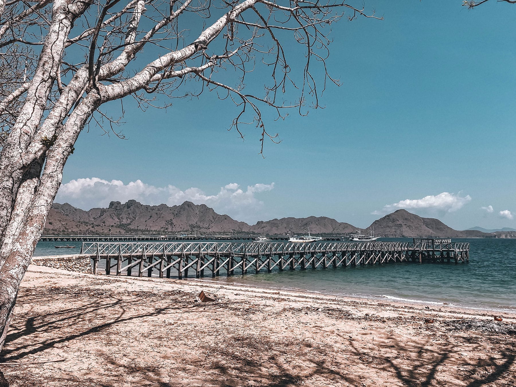 Komodo Island in Indonesia