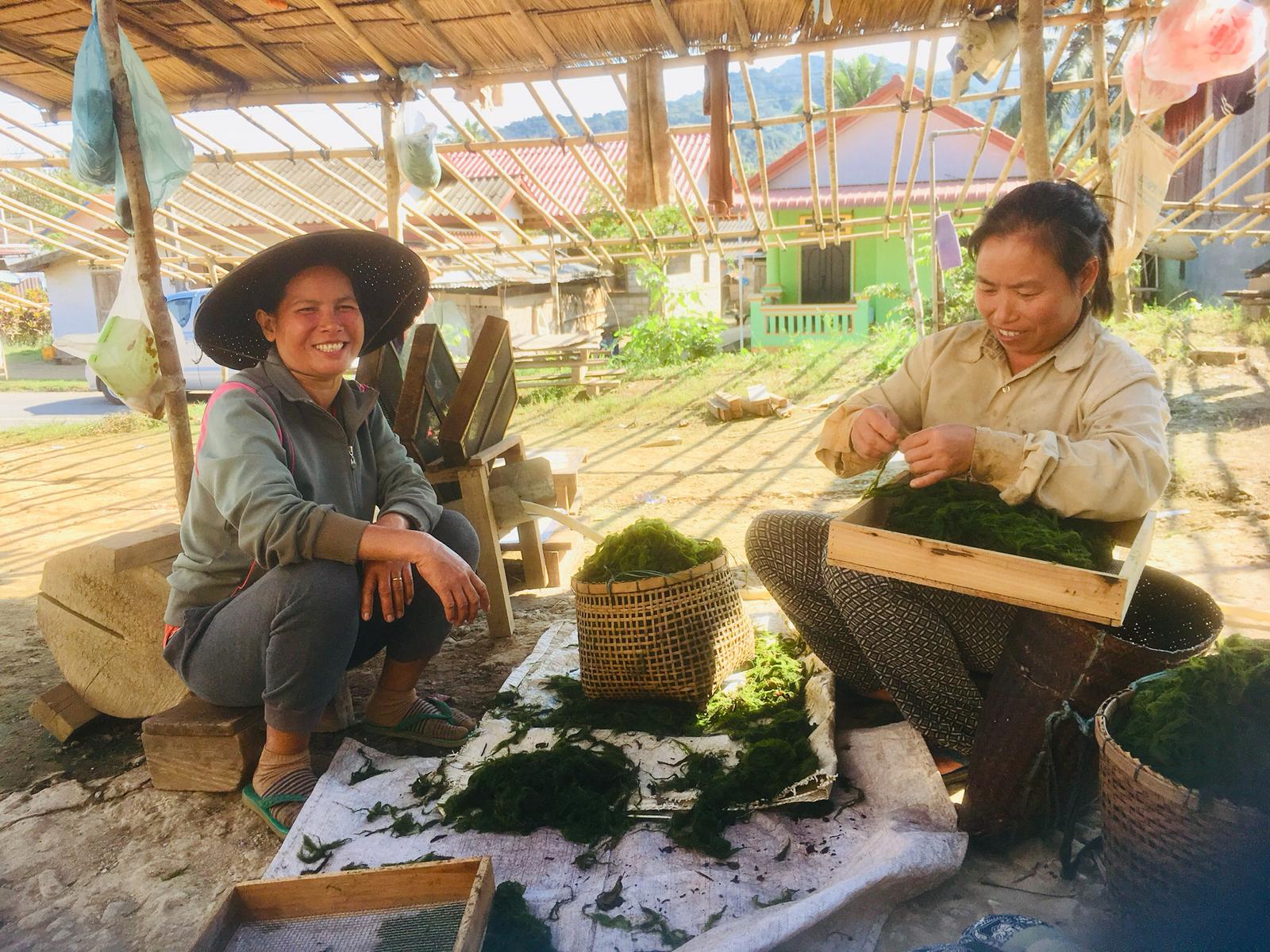 Experiencing Rural life in Indochina