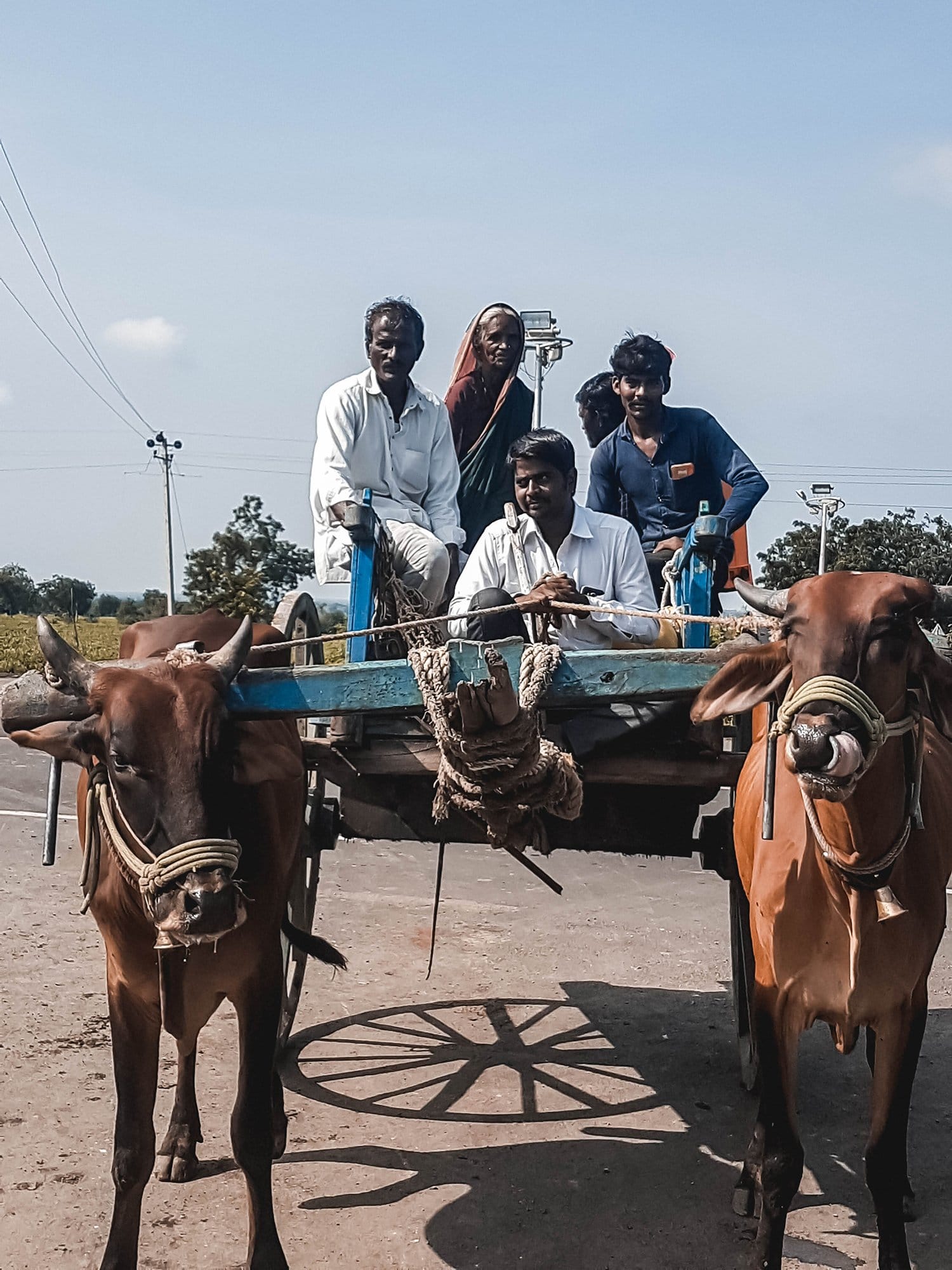 Local transportation in the rural Deccan Plateau