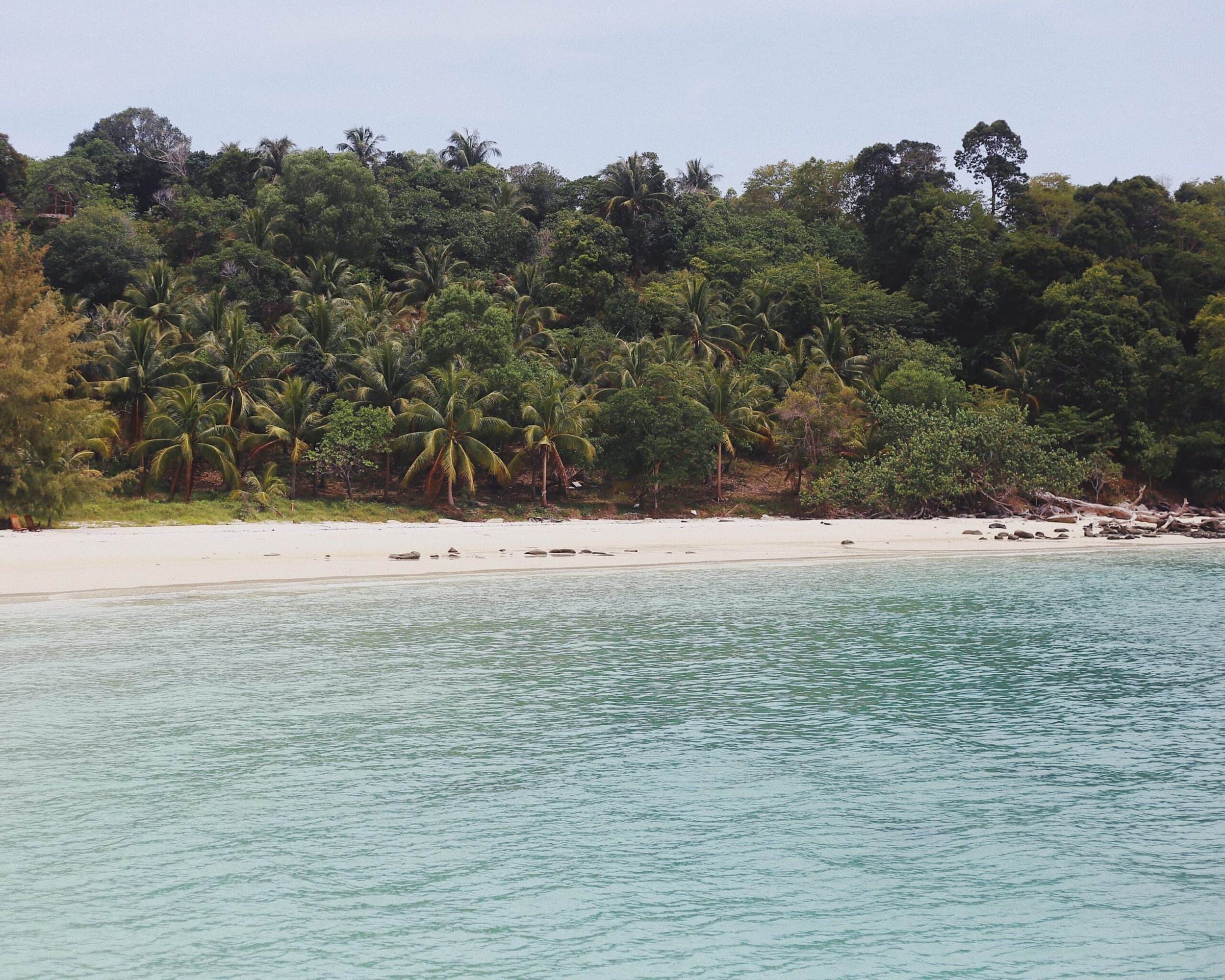 The shores of Koh Rong Island with jungle backdrop