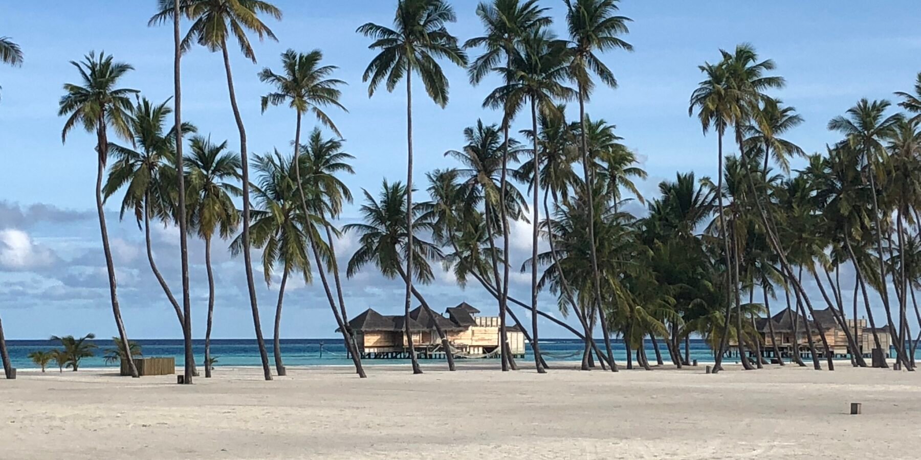 Picture postcard tropical beach at Gili Lankanfushi in the Maldives