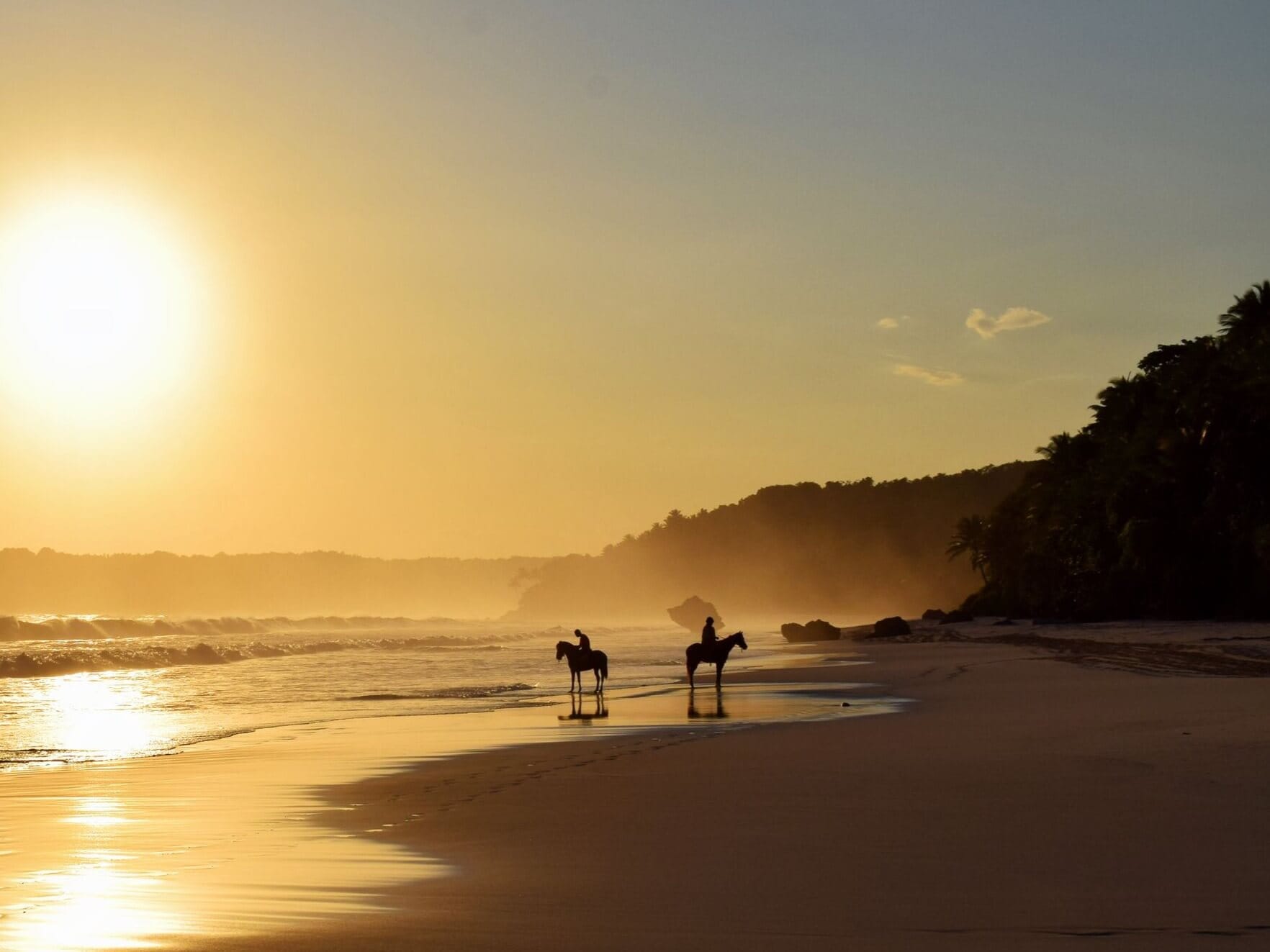 Silhouette of horses on the beach at sunset in Nihi Sumba