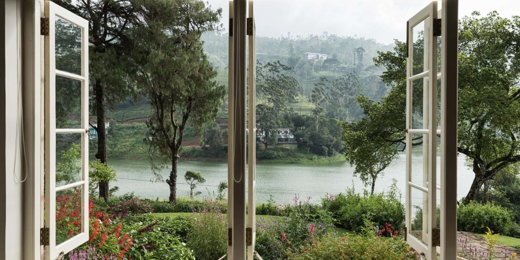 Tea Trails in December, Sri Lanka