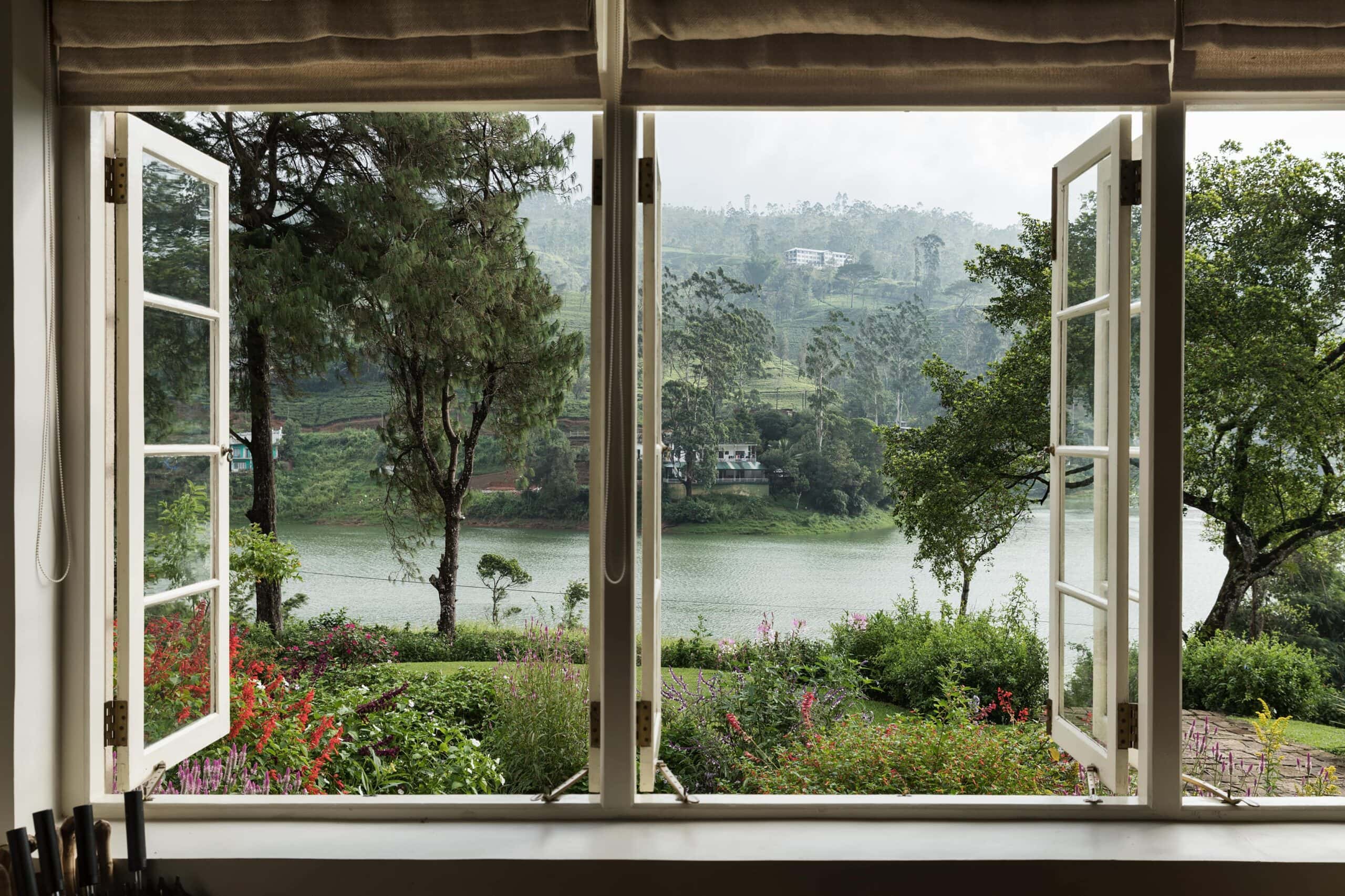 Tea Trails in December, Sri Lanka