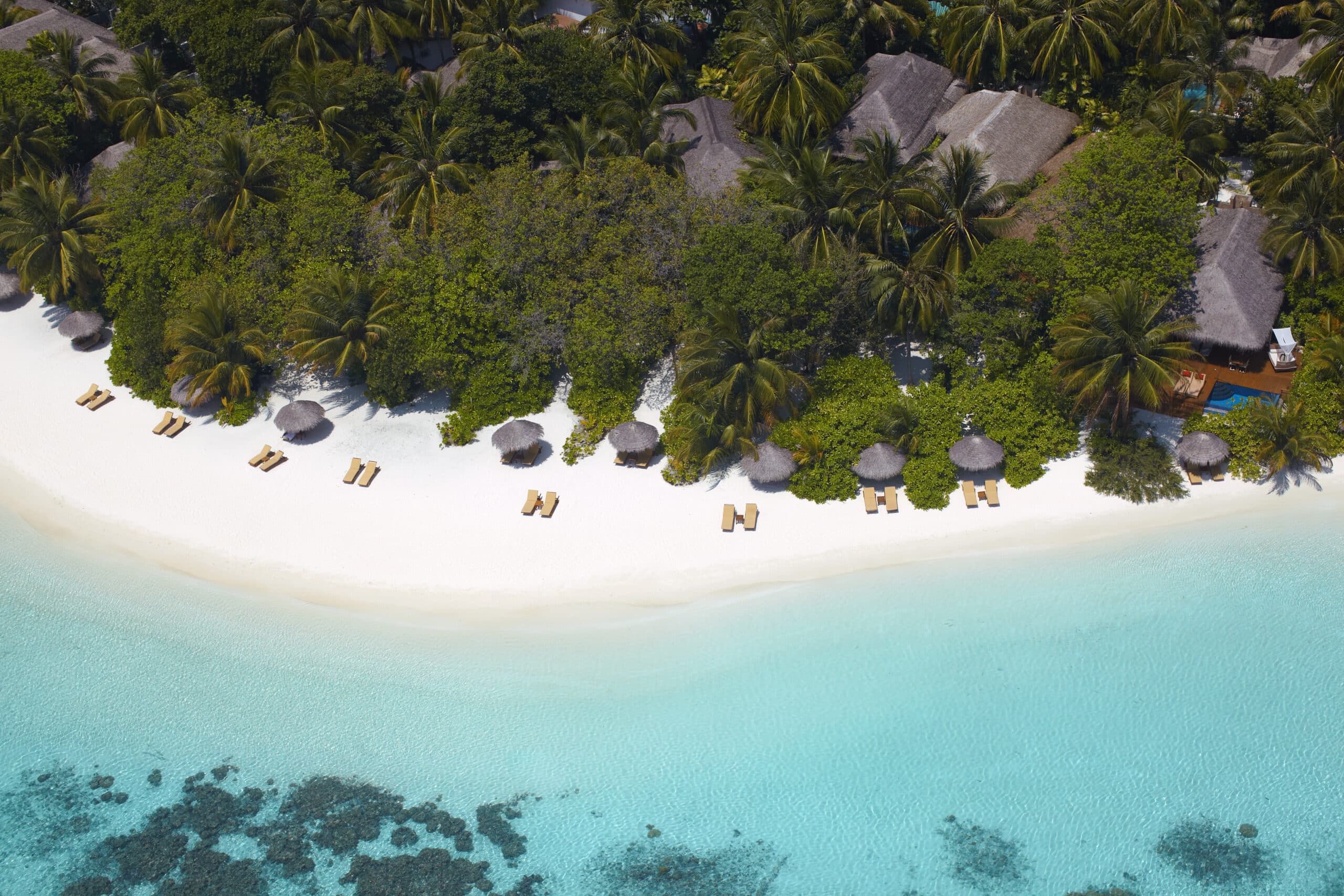 Beach in The Maldives