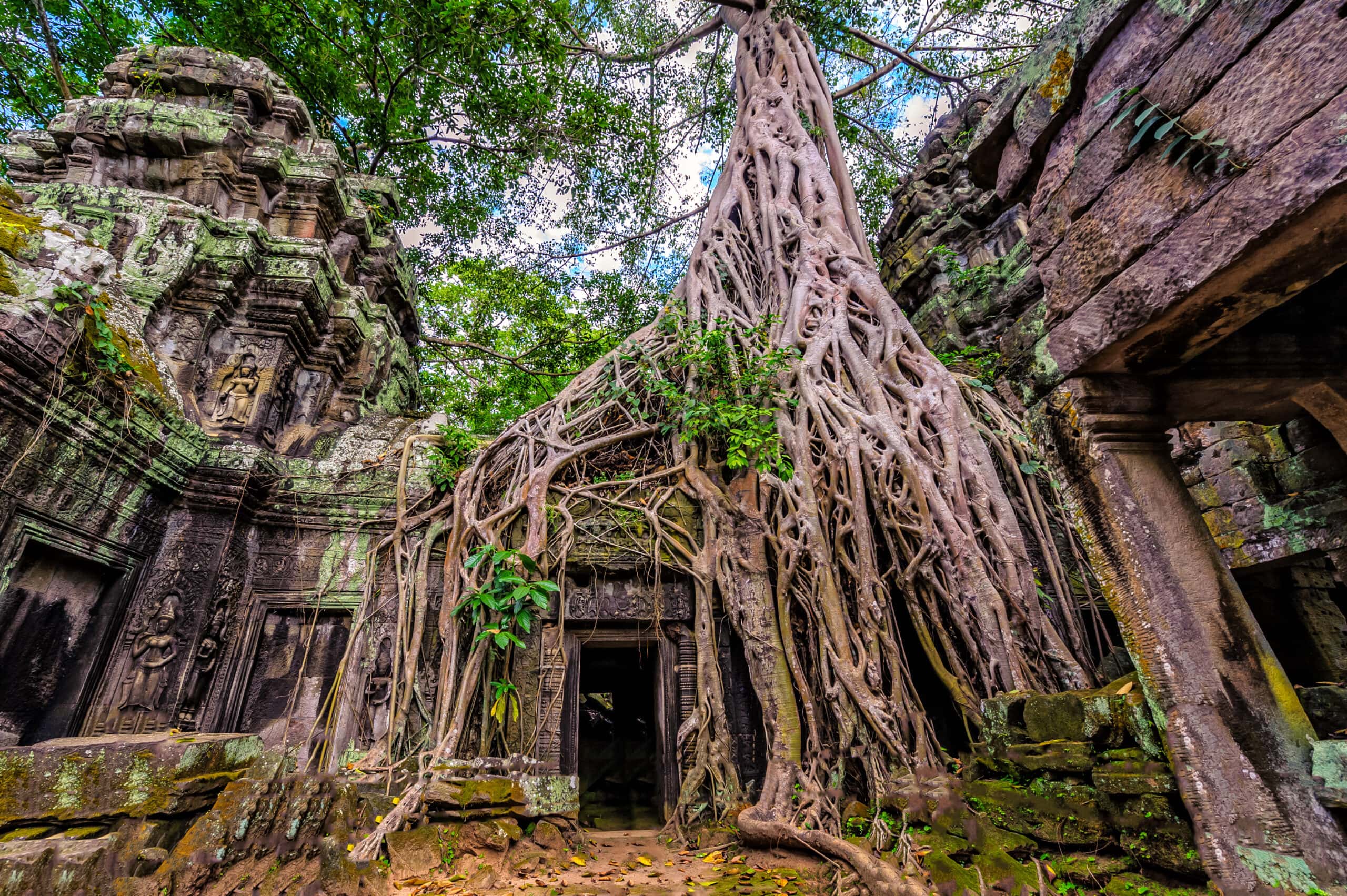 Ta Prohm Temple Ruins