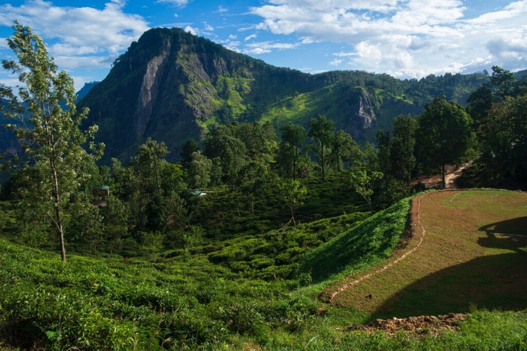 Mountain views in Ella, Sri Lanka