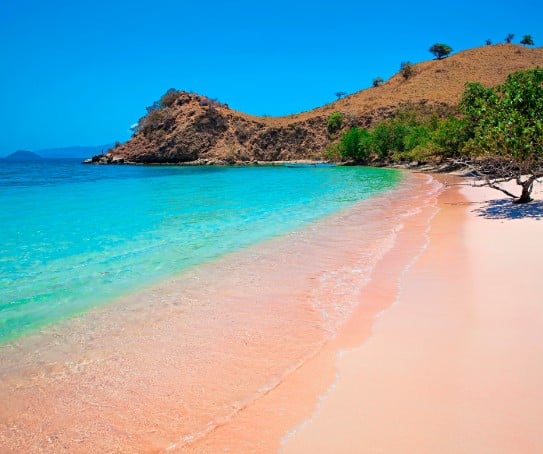 Pink sand beach in Komodo National Park in Indonesia