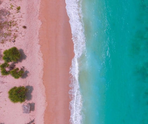 Aerial view of pink sand beach in Indonesia