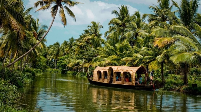 Straw roof boat travelling down the palm tree-boarded backwaters in Kerala