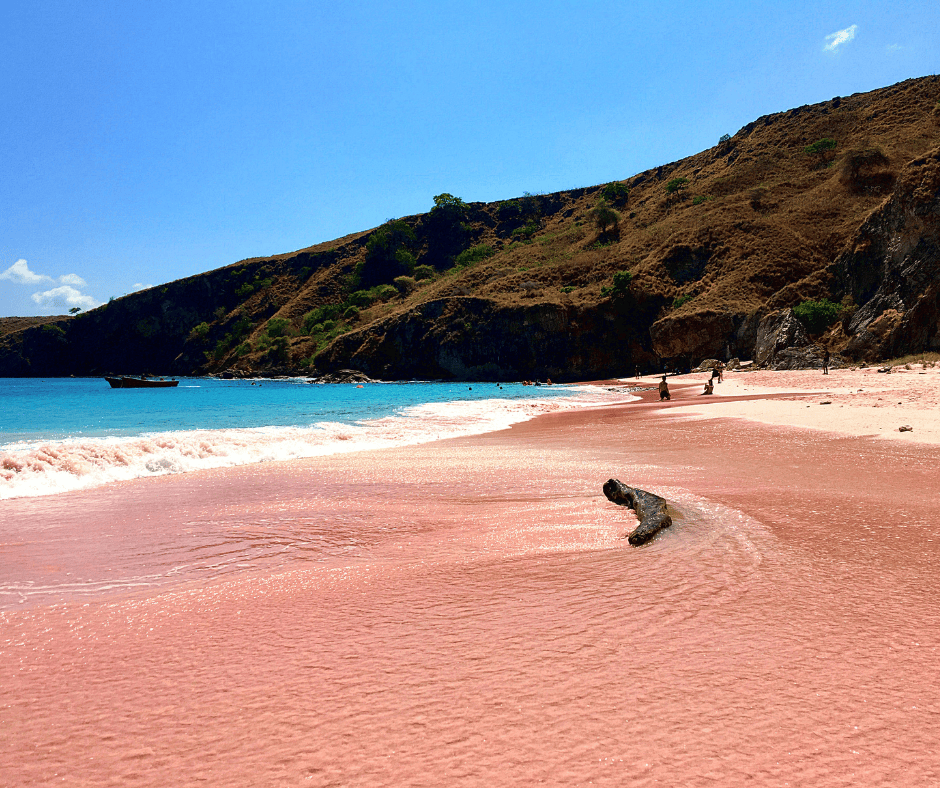 Pink Beach of Komodo Island, Indonesia