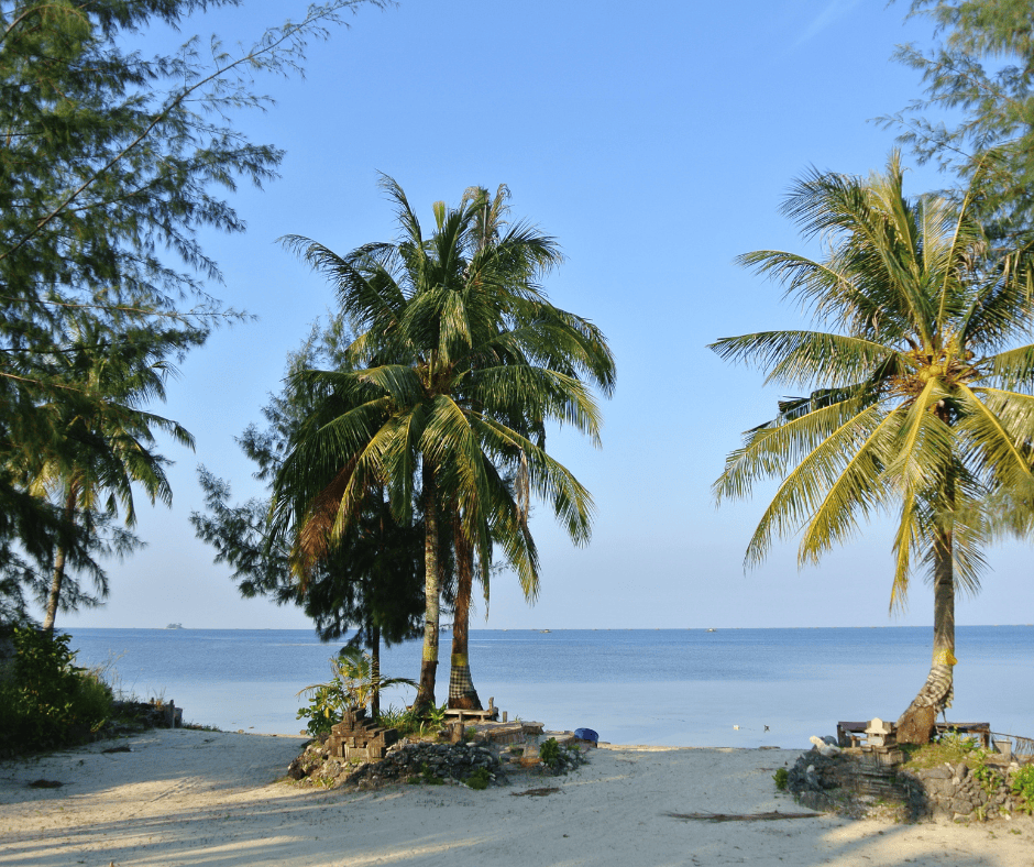Palm trees on Tikora Beach in Indonesia