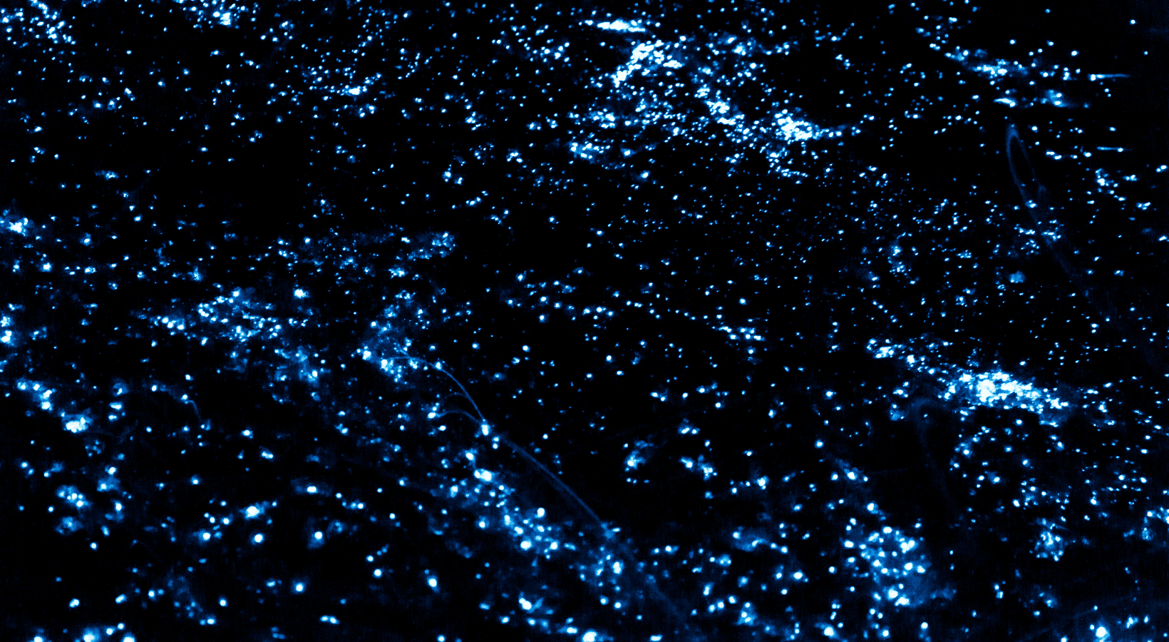 Specs of Bioluminescent plankton in the Maldives