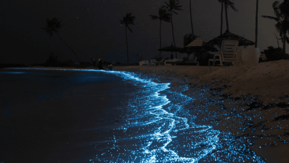 Glowing shoreline of beach on Huraa Island Maldives