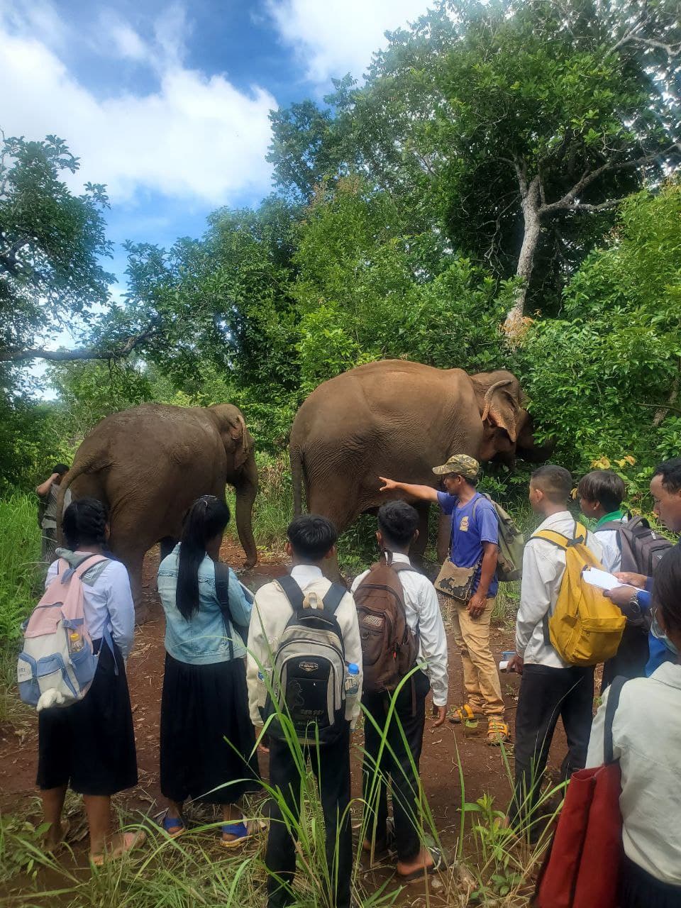 A group of children learning about elephants at elephant valley project in Cambodia