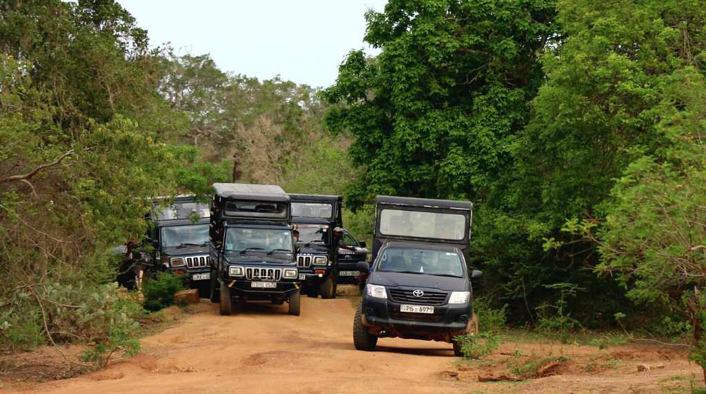 Yala jeeps overcrowding