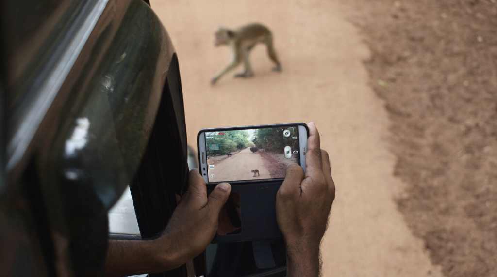 Yala National Park, Sri Lanka