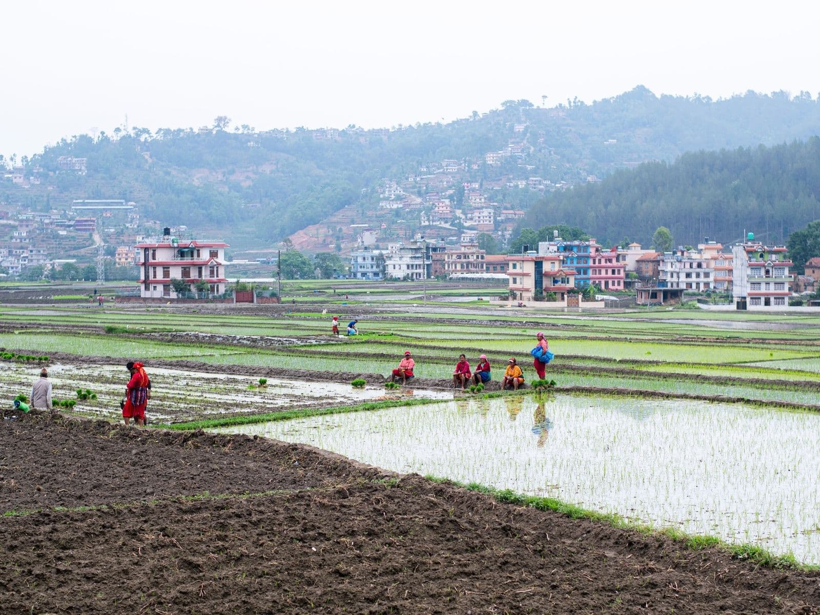 Traditional Tamang villagers working in the lush, terraced fields of Nagarkot, Nepal, with colourful homes and scenic hills in the background, showcasing the authentic cultural experience offered by Experience Travel Group.