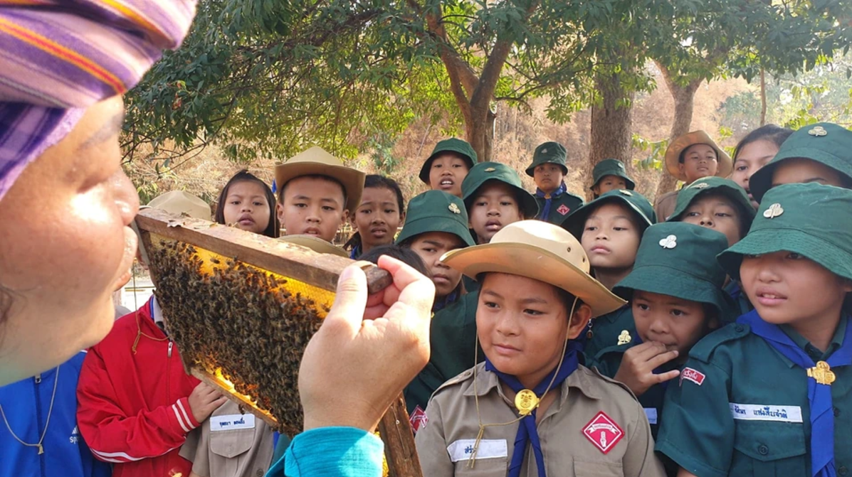 Children learning about honey at OurLand nature reserve in thailand