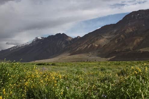 Hike to Shali Tibba