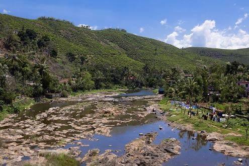 Periyar Nature Walk