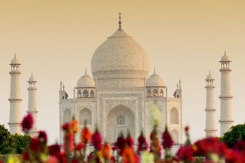 Taj Mahal & Agra Fort 
