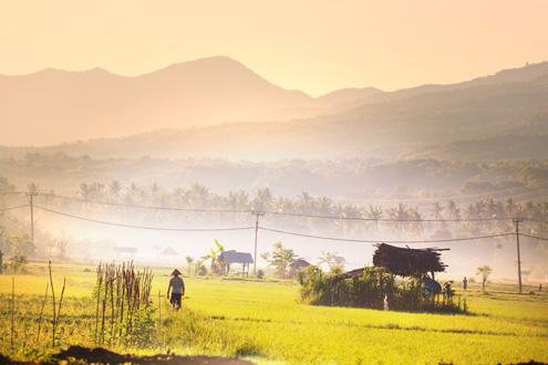 Rejuvinate in the Coffee Plantations