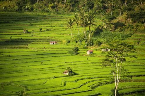 Lombok's Northern Coast