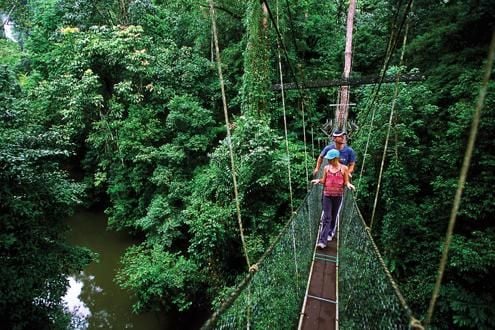 Mulu Skywalk