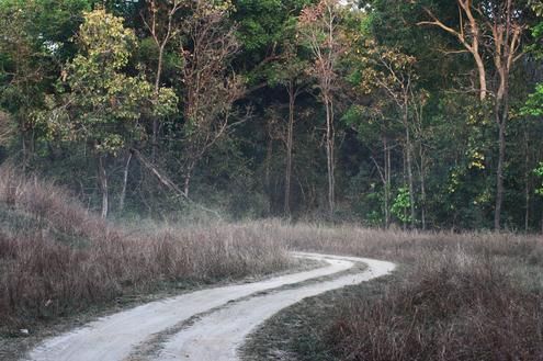 Country Cycling Experience