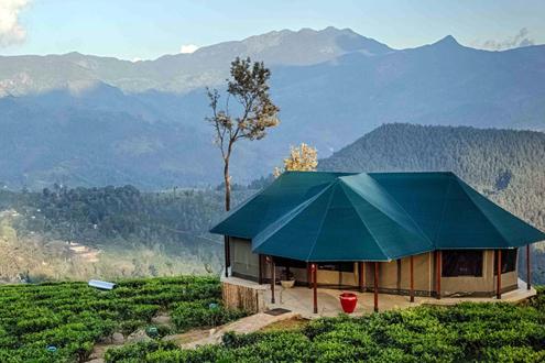 Madulkelle Tea and Eco Lodge