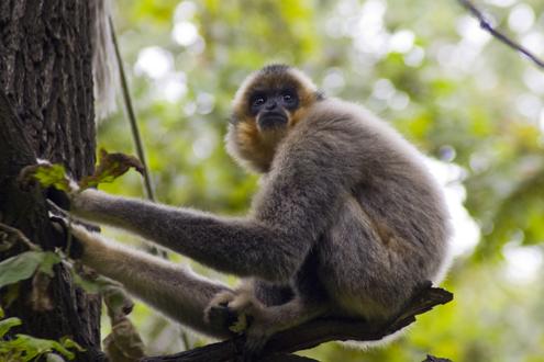 Hidden Gems of Rural Cambodia