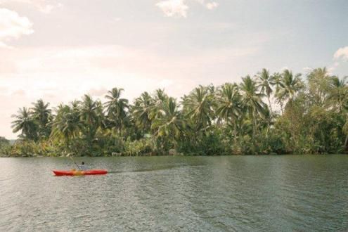 Tatai Village Trek, Wildlife Walk and River Expedition