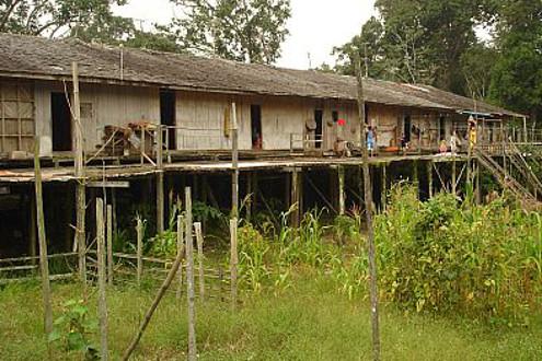 Serubah Longhouse