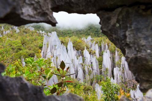 Mulu Pinnacles Trek