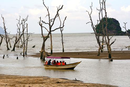 Santubong Peninsula Cruise