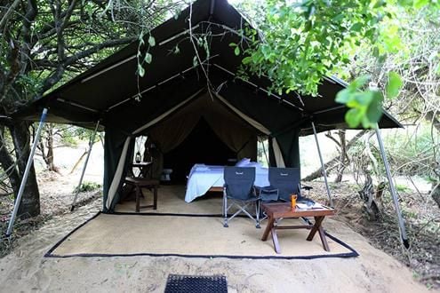 The Secret Yala