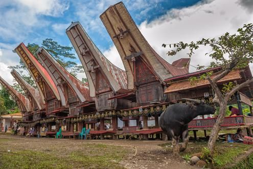 Contrasts of South Sulawesi And Bali 