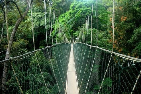 Taman Negara Trek