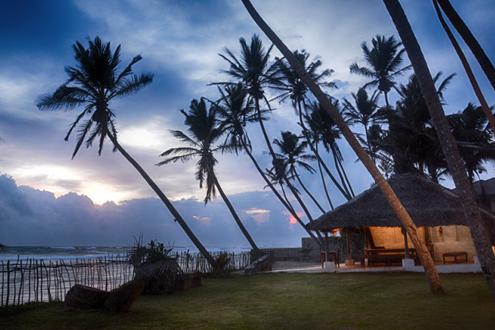 Octopus Reef Beach Villa