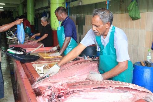 Male City Tour