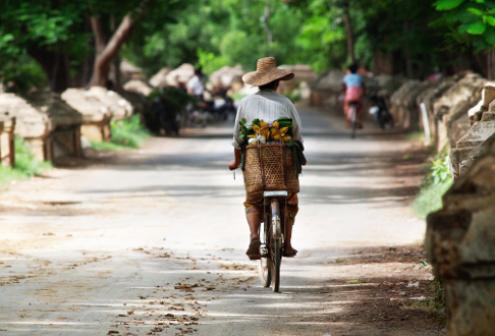 Bicycle Tour around Nyuang Shwe Town 
