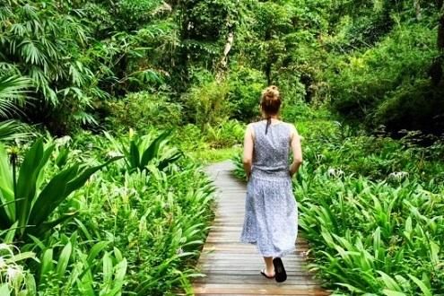 Malaysia's Wildlife and Nature Encompassed