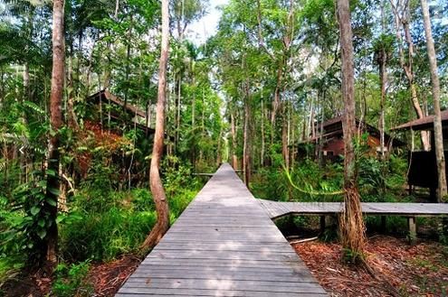 Kinabatangan Wetlands Resort