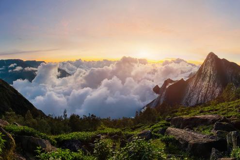 Climb Meesapulimala Peak