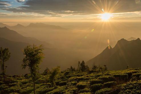 Trekking Kolukkumalai Peak 