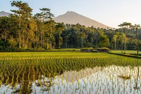 Java and Lombok Explorer