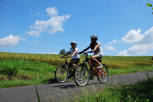 Bali Downhill Cycling