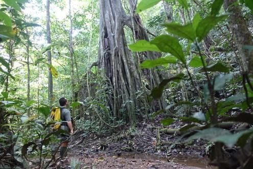 Trekking & Caving 